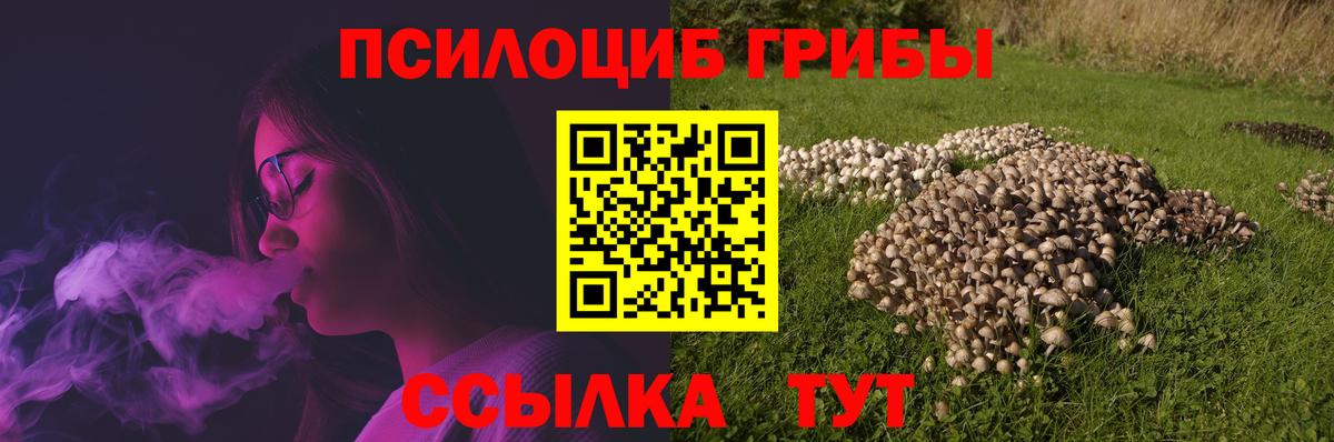 Галлюциногенные грибы MAGIC MUSHROOMS  Вход с VPN  Кунгур 