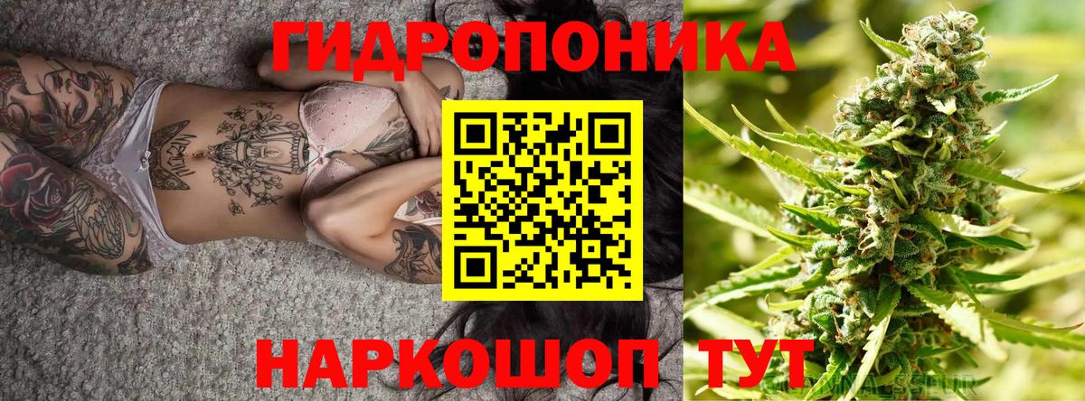 Каннабис OG Kush Кунгур